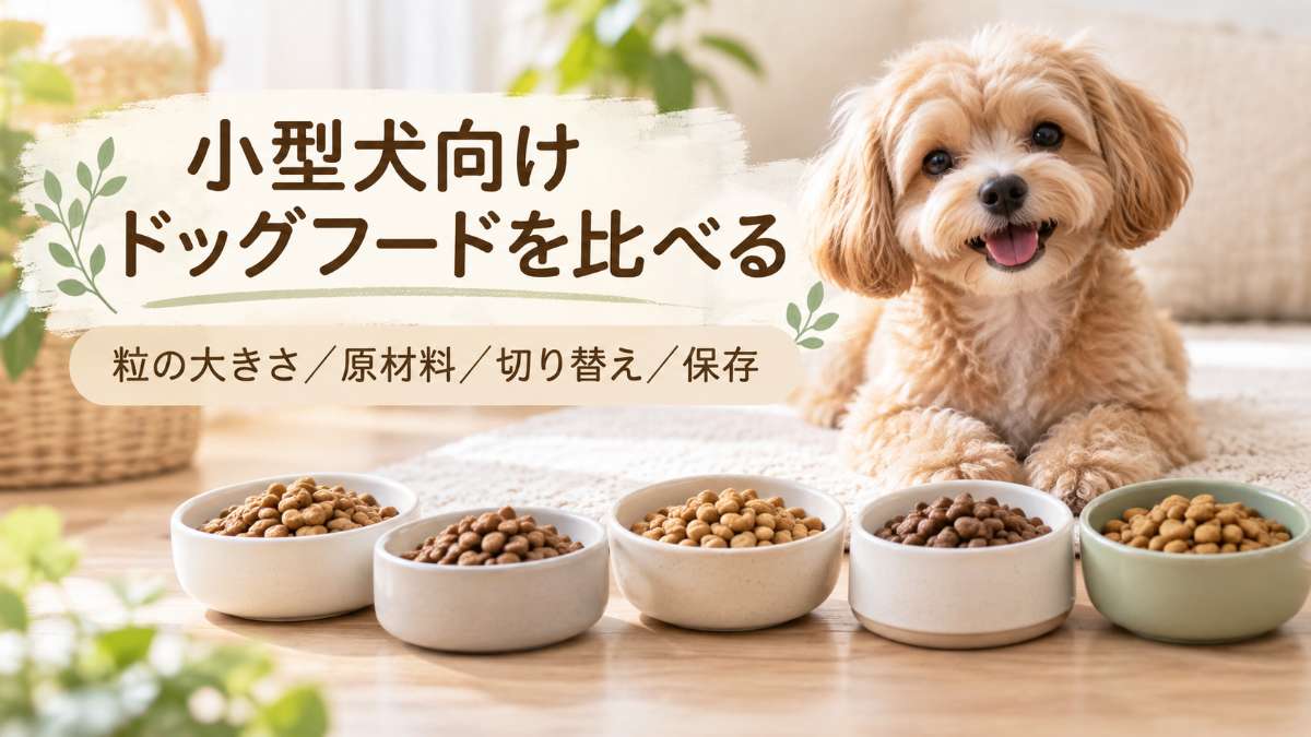 小型犬向けドッグフード5製品を比較|粒の大きさ・原材料の考え方・切り替えと保存の違い