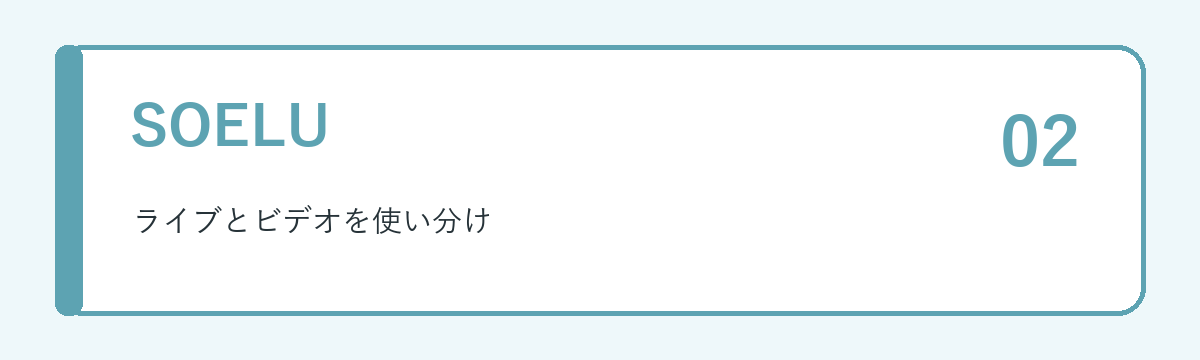 SOELUの特徴